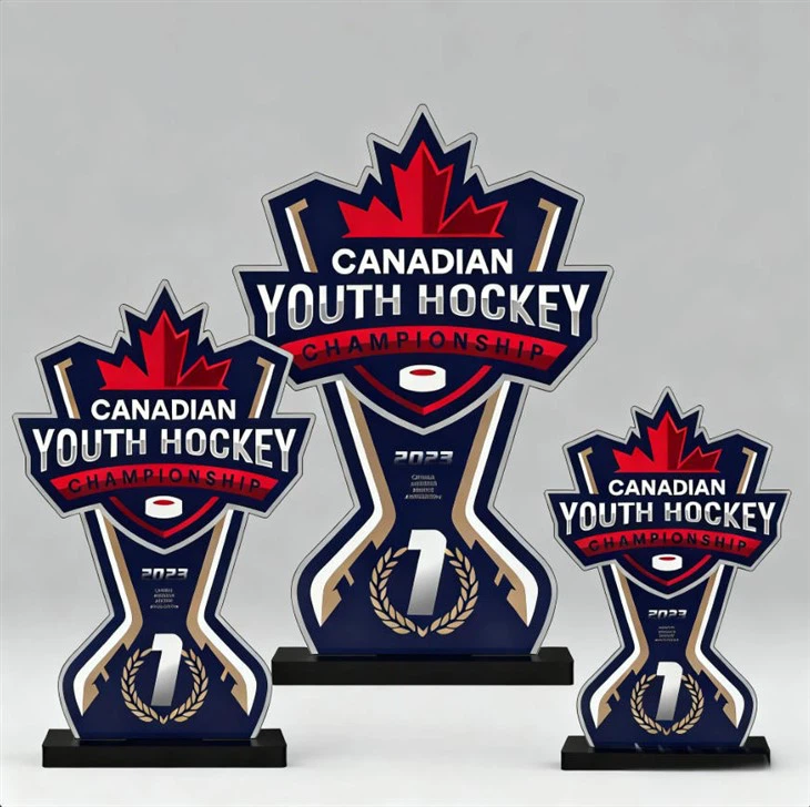 단일 레이어 아크릴 하키 트로피