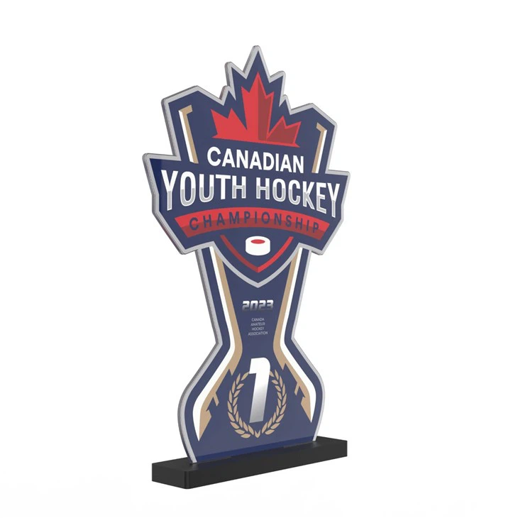 Single Layer Acrylic Hockey Trophies high quality